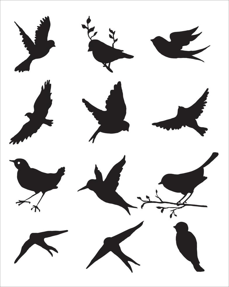 Realistic Bird Illustrations Bundle Forest and Garden Birds. vector