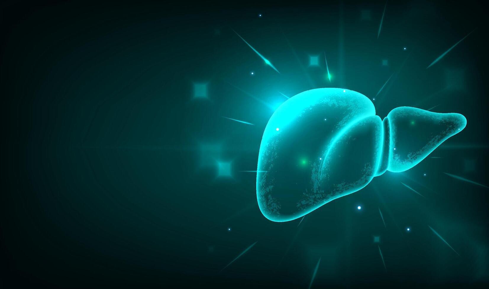 Glowing liver illustration with stars vector
