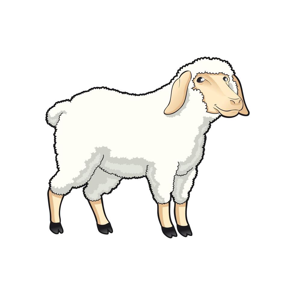 Cartoon sheep illustration image vector