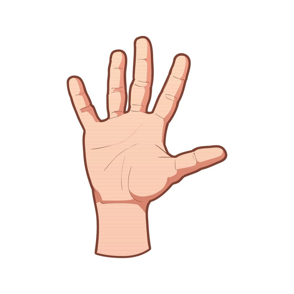 Illustration of a hand vector