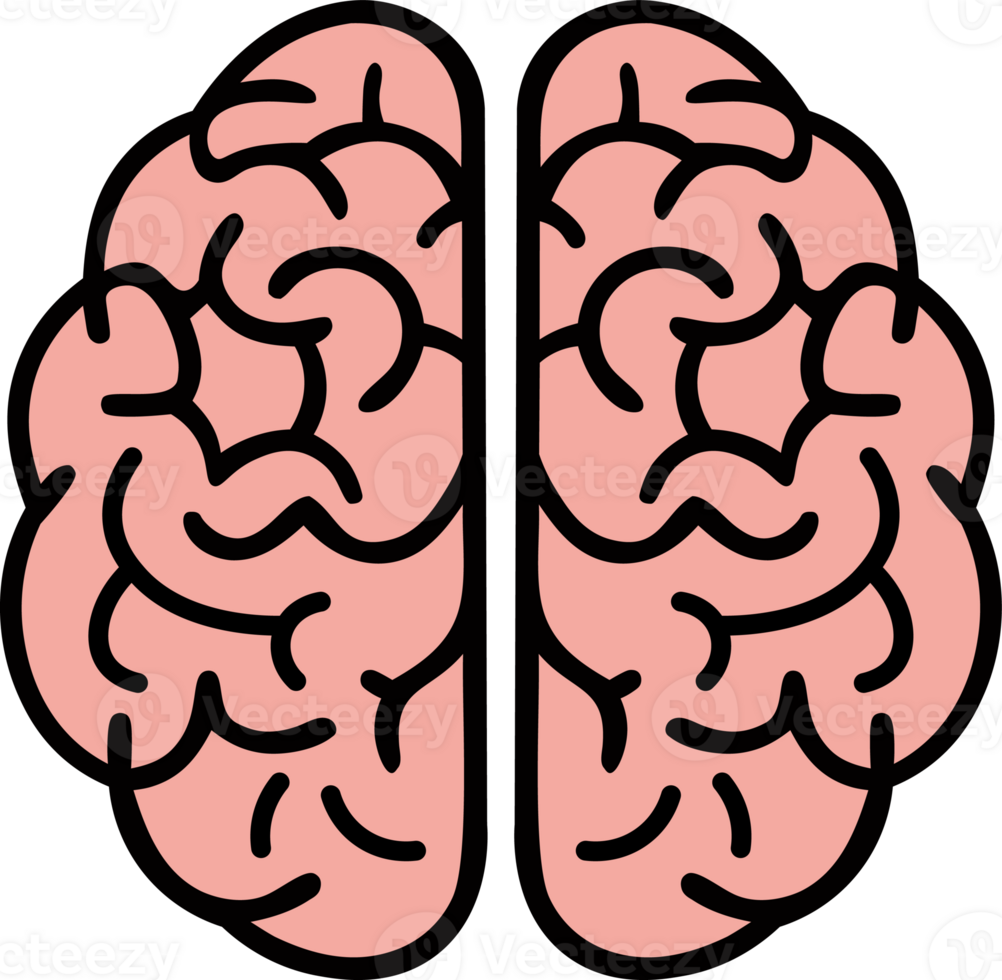 Human Brain Icon png