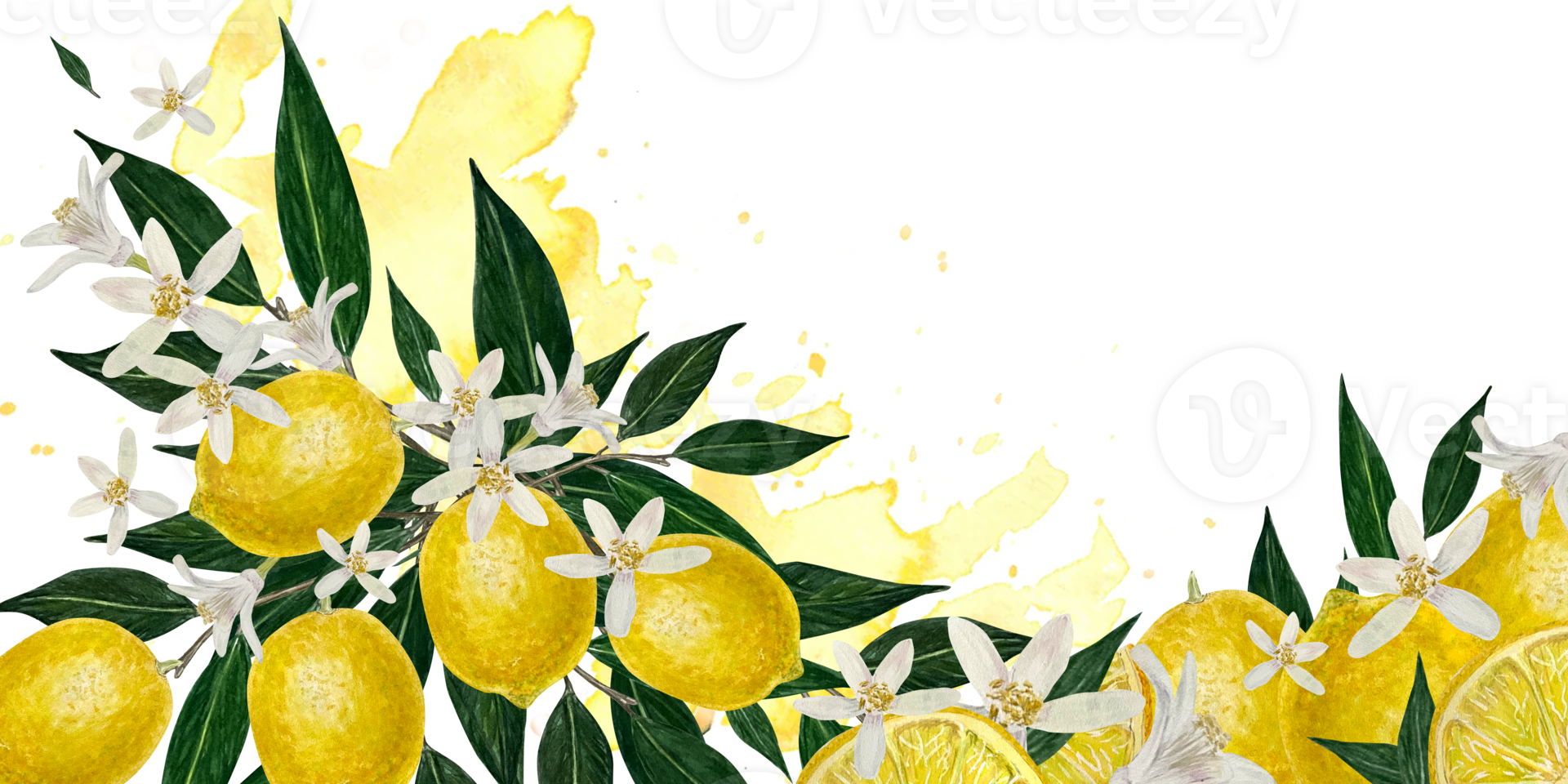 Lemon Fruits Vertical hand-drawn watercolor frame with lemons, citrus branches, green leaves, and flowers. Perfect for logo, icon, invitation cards, or design projects png