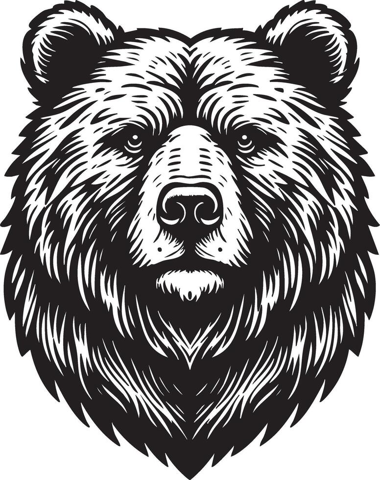 A bear head in a woodcut style vector