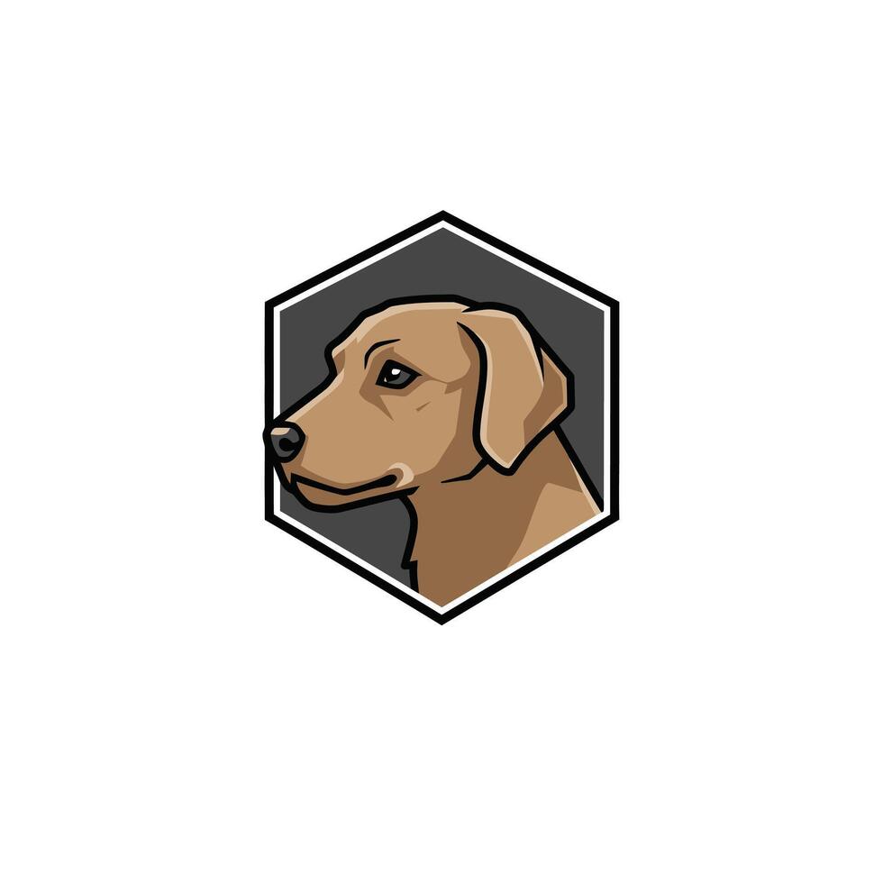Dog head enclosed in a hexagon logo design vector