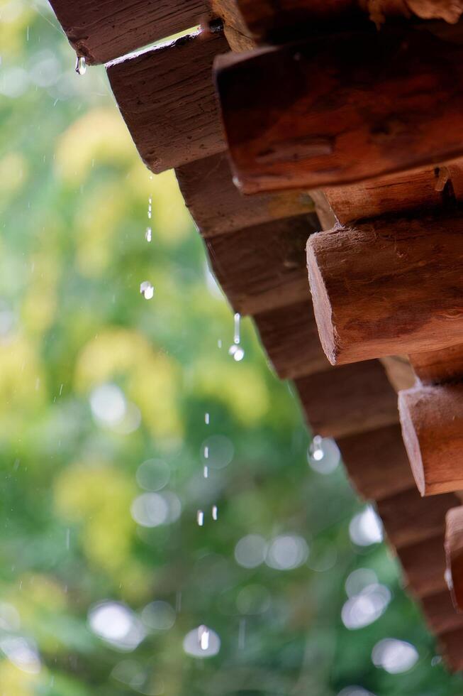 Rain Drops Falling From Wooden Roof photo