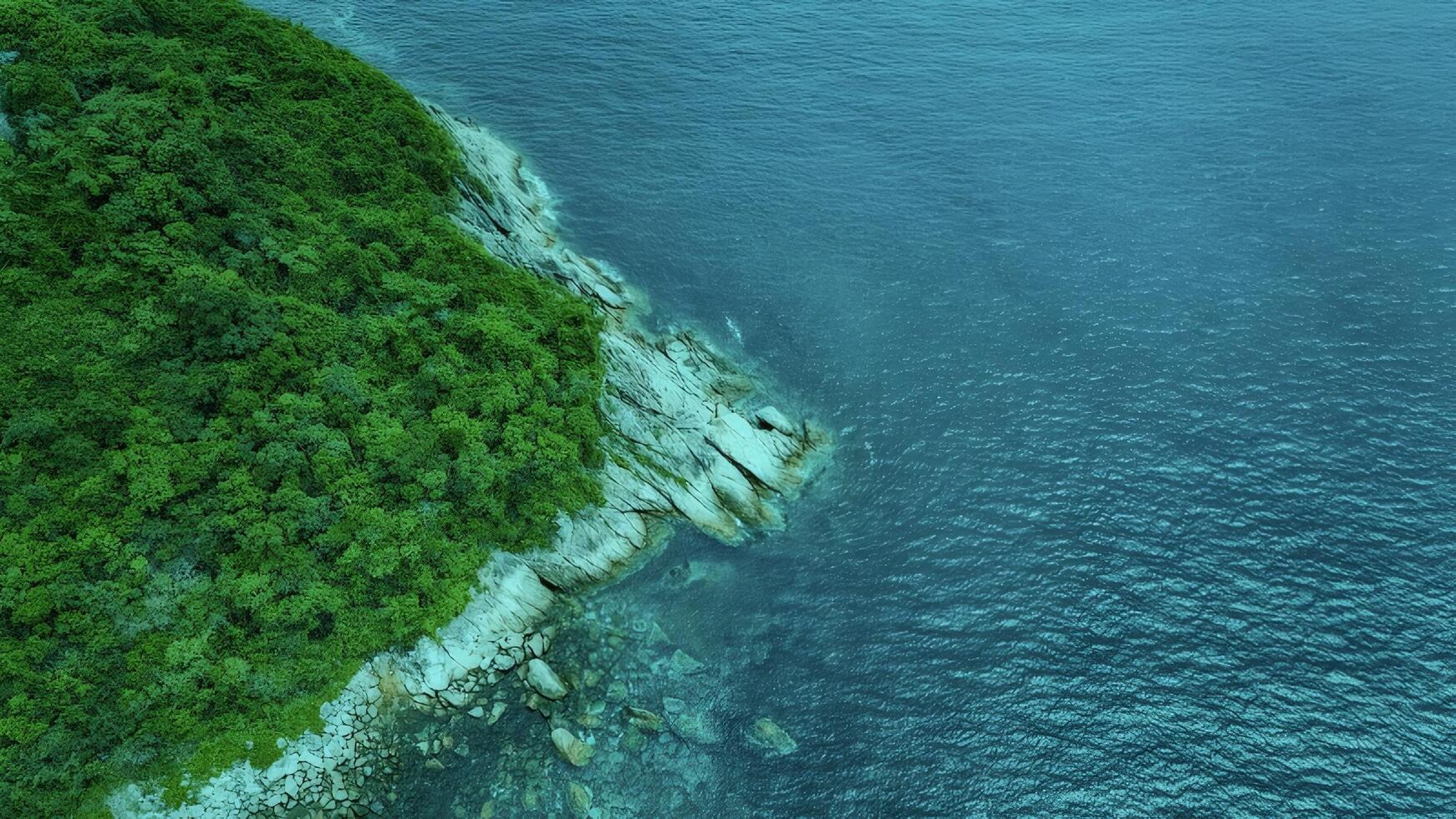 Aerial View of Lush Green Island and Turquoise Ocean photo