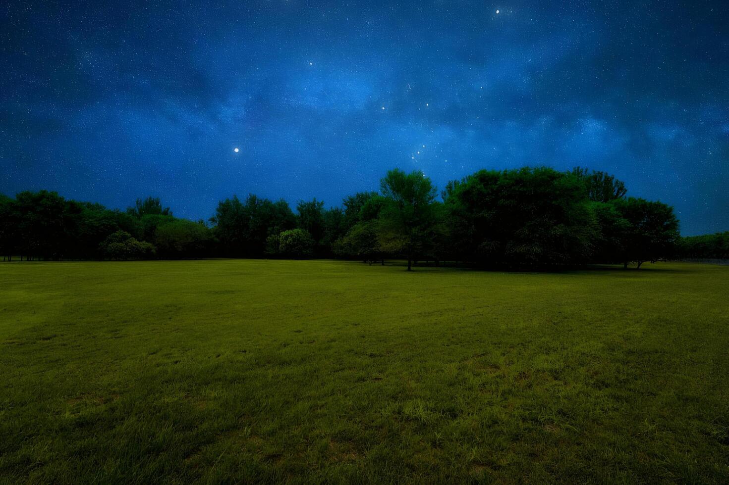 Starry Night Sky Over a Green Field and Trees photo