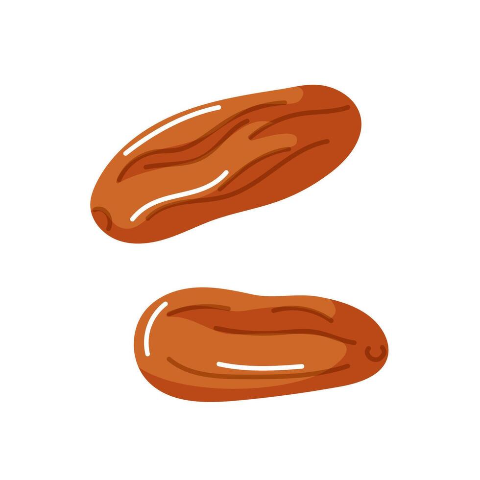 Two delicious dates on a white background vector