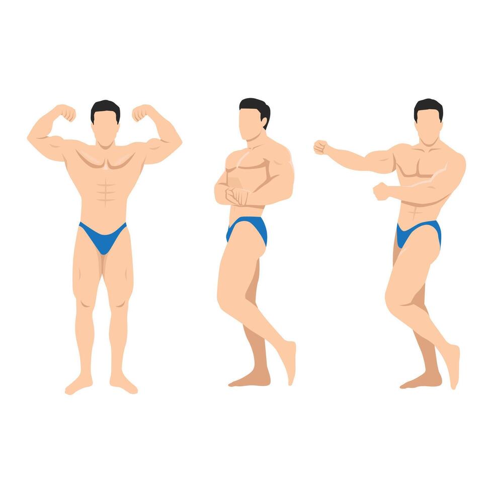 muscular male fitness poses illustration vector