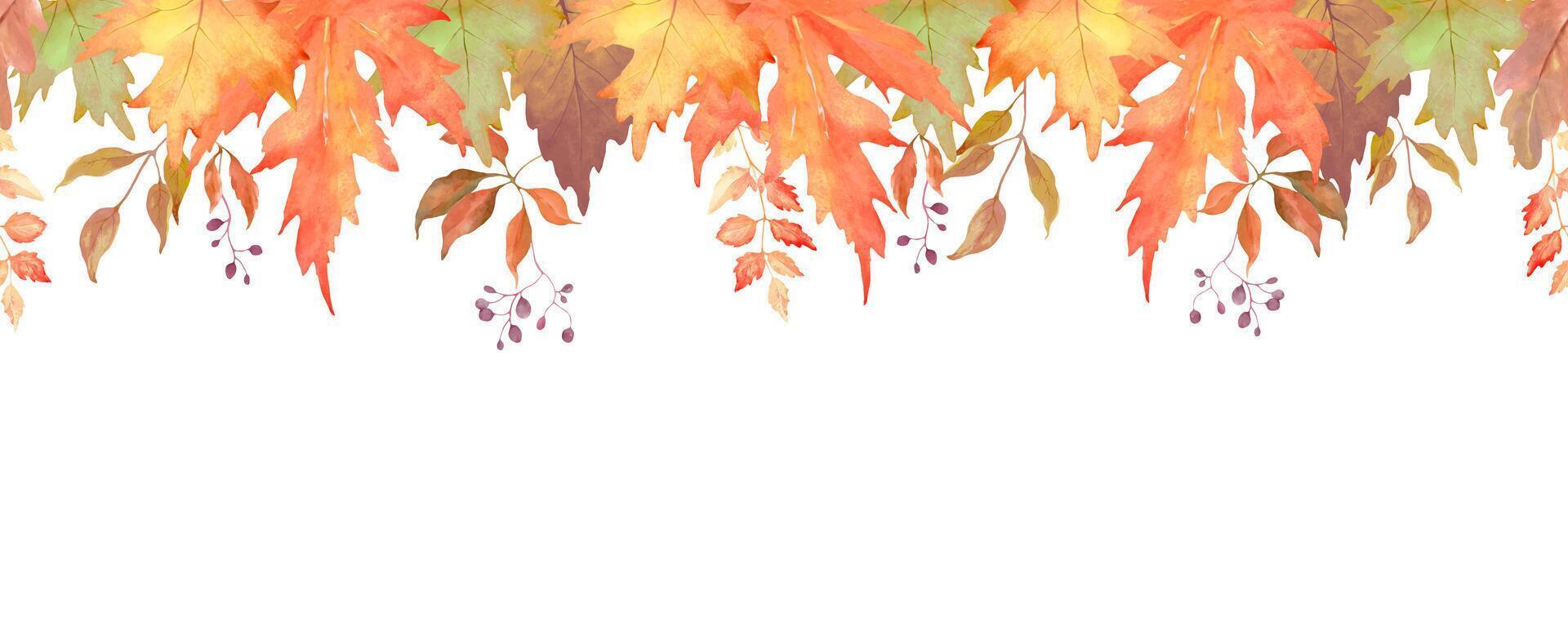 Seamless Watercolor border with maple leaves, berries. Autumn background. For greeting cards, invitations. vector