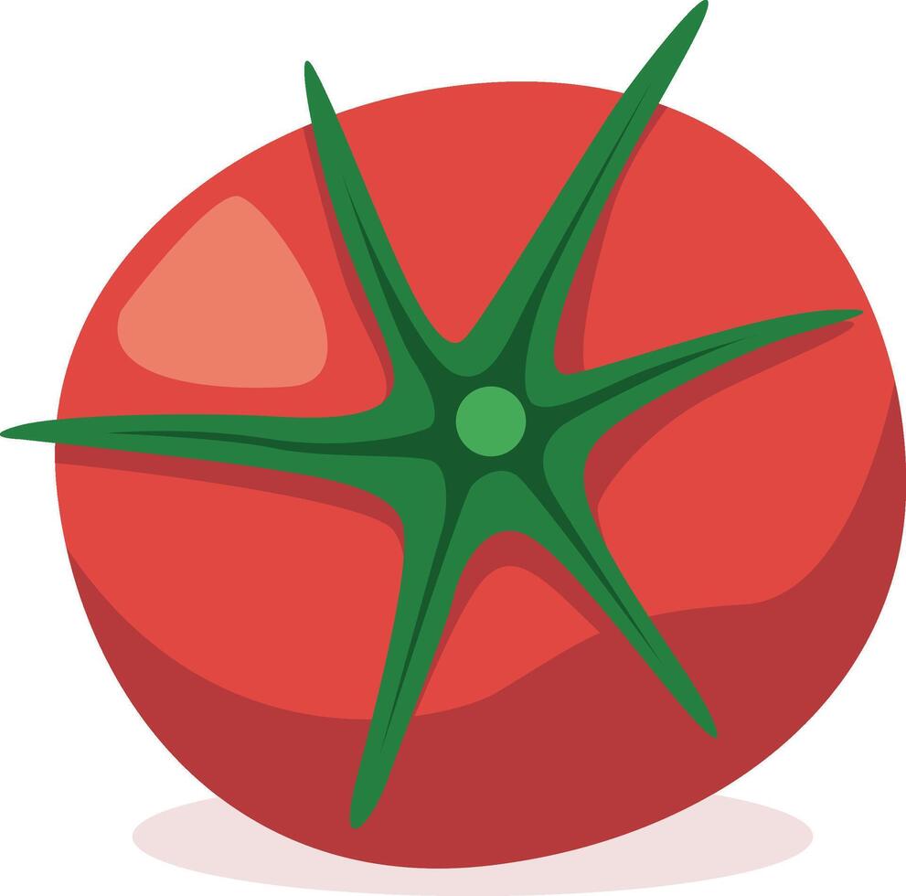 Illustration of a red tomato vector