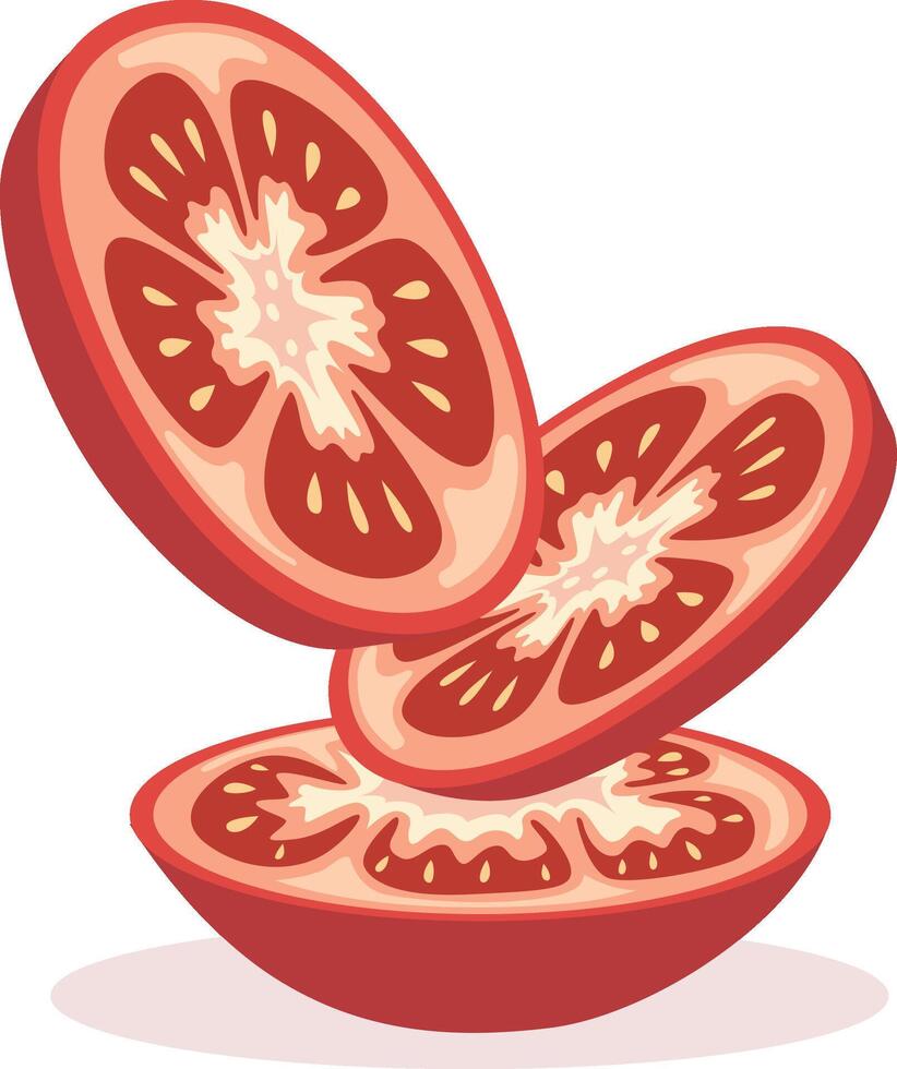Sliced tomato halves showing texture vector