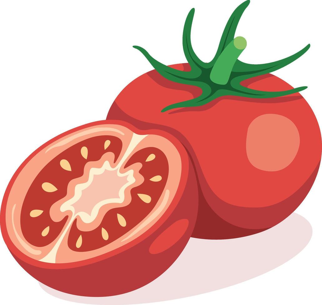 Fresh tomato cut in half vector