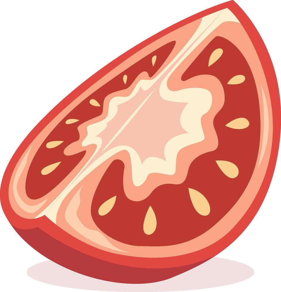 Slice of a juicy tomato vector