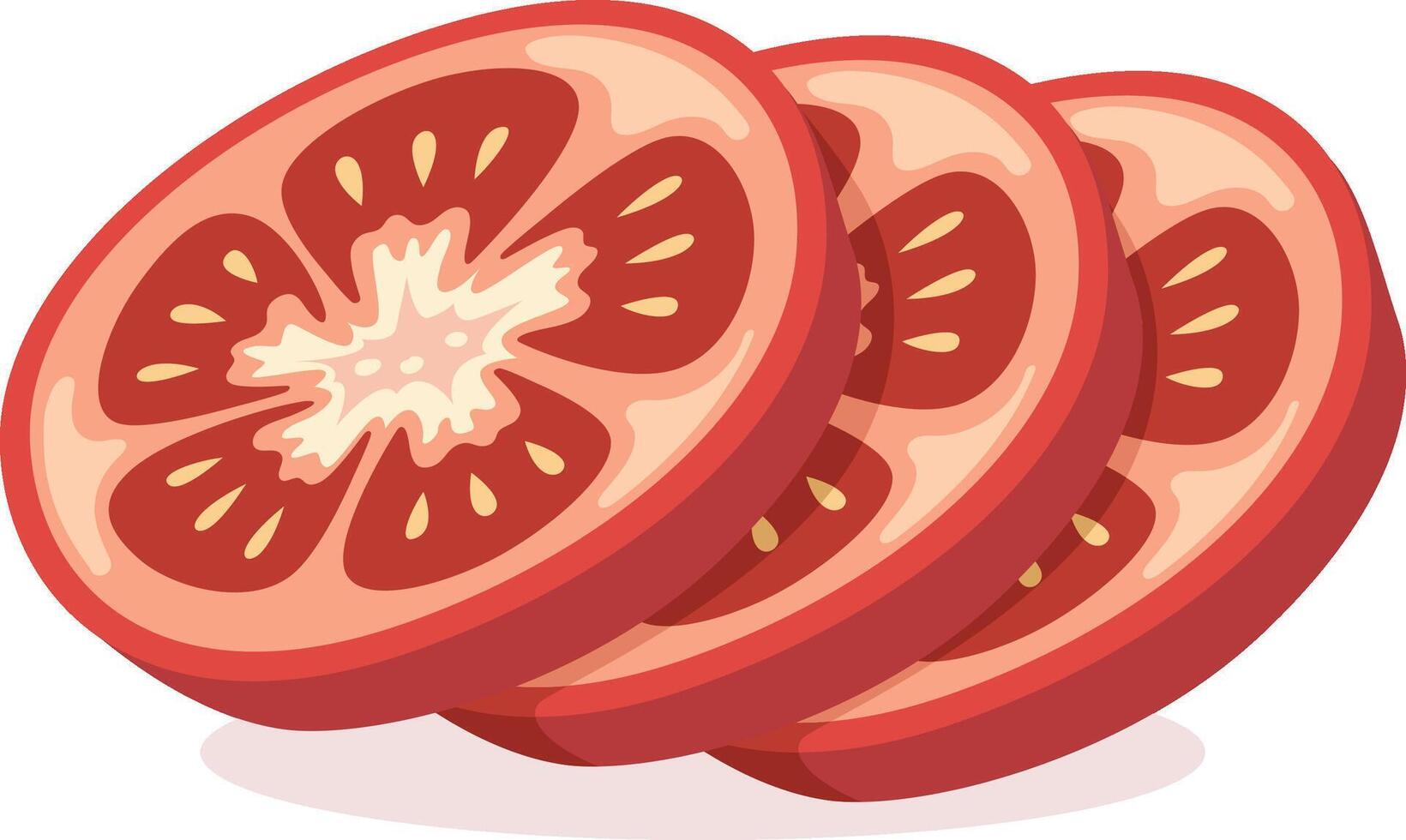 Three sliced tomato pieces vector