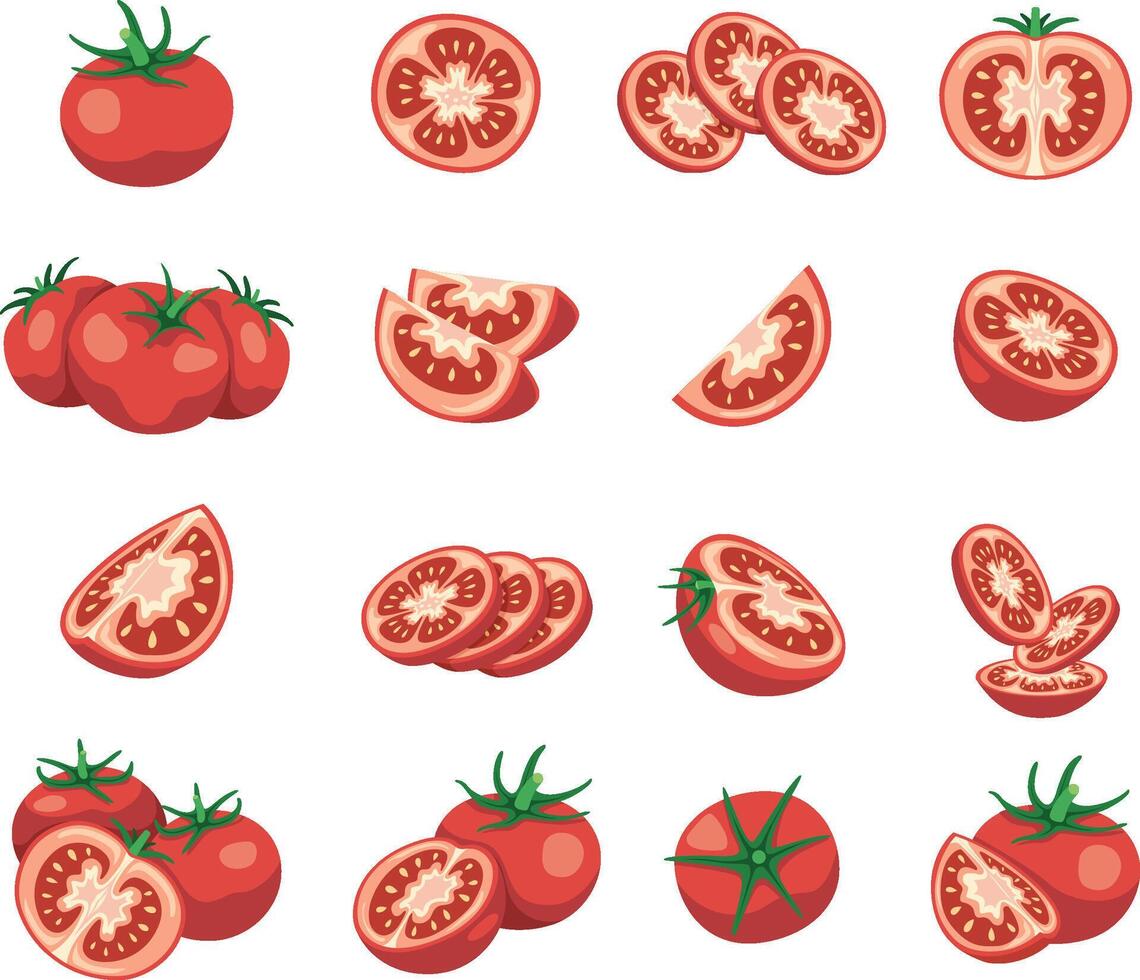 Fresh tomatoes in various cuts and shapes vector