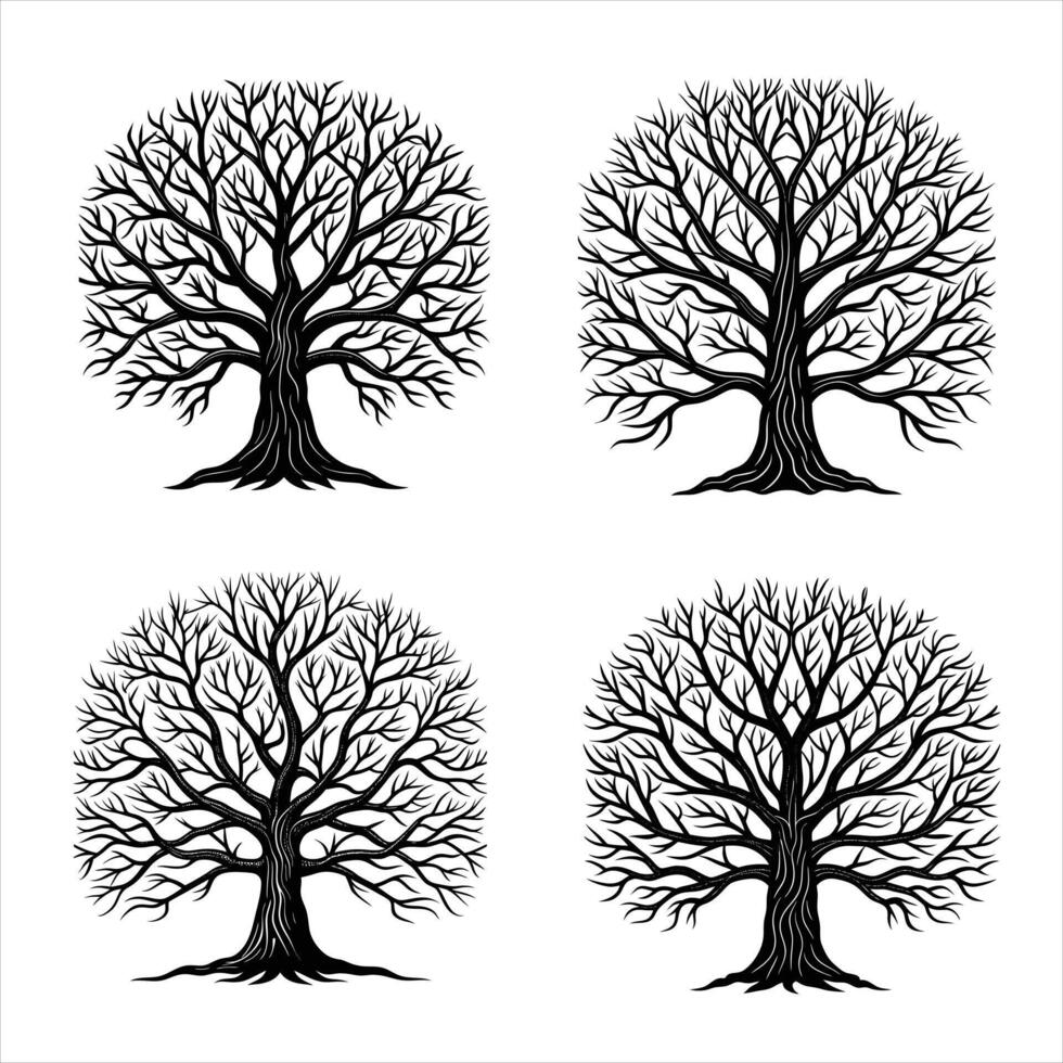 Winter Leafless Trees with Intricate Branch Patterns vector