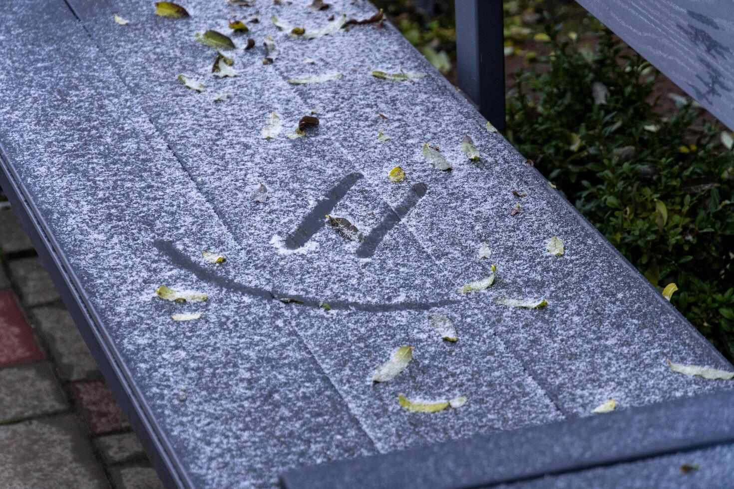 A bench in a park is lightly covered in snow, with colorful leaves scattered around and a smiley face drawn in the snow, creating a cheerful scene photo