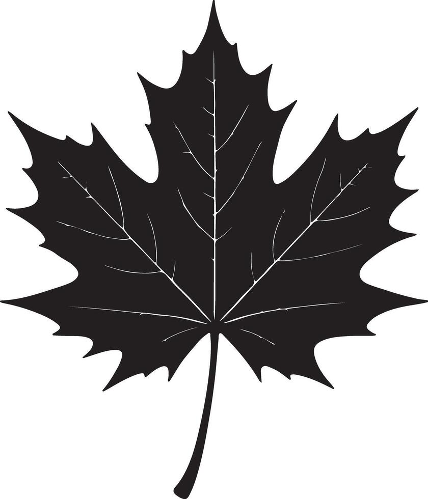 Striking Silhouette of a Single Maple Leaf Against a White Background An Elegant Autumnal Design Element vector