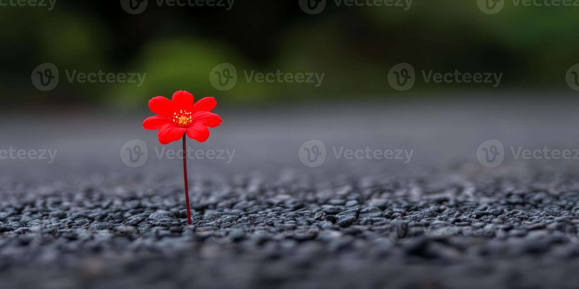 Red flower growing through asphalt in urban setting symbolizing resilience and beauty in nature photo