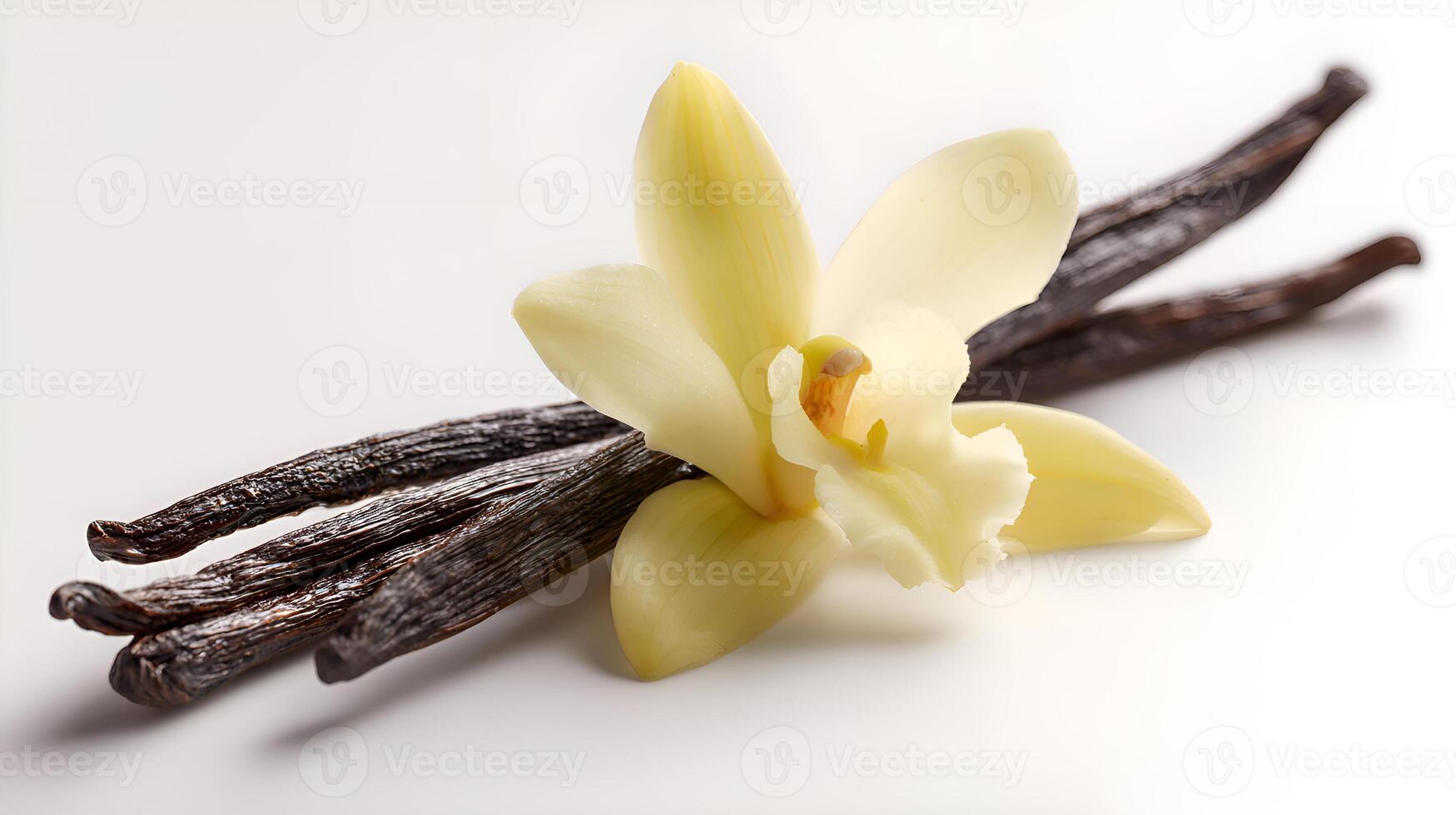 Vanilla pods and flower resting on white background photo