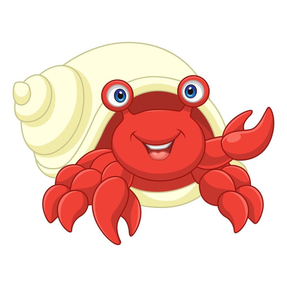 Cartoon cute hermit crab on white background vector