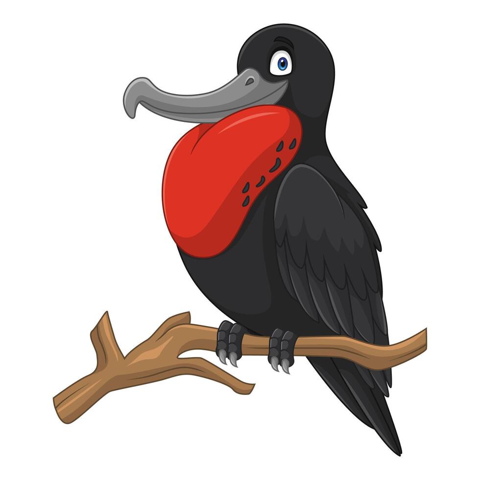 Cartoon frigatebird isolated on white background vector