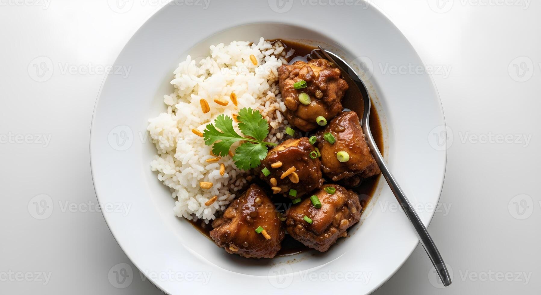 Chicken with rice and green onions photo