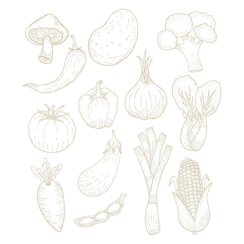 Vegetables Lineart Collection Flat Design Cartoon Illustration vector