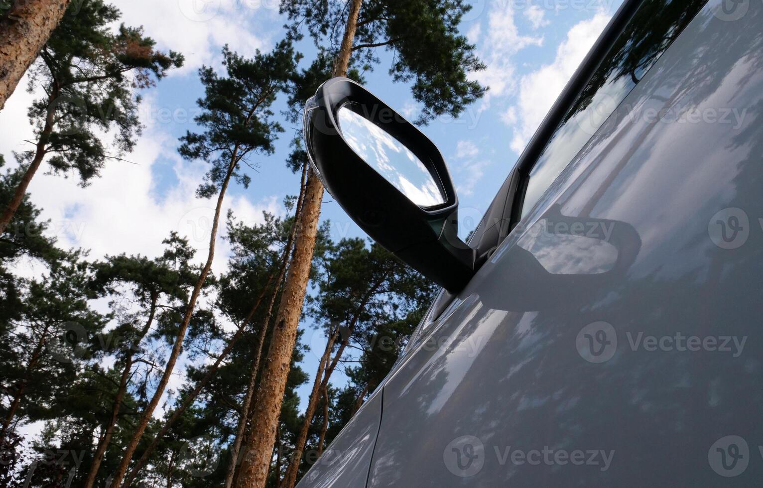 Bottom view of a car mirror in the middle of tall pines photo