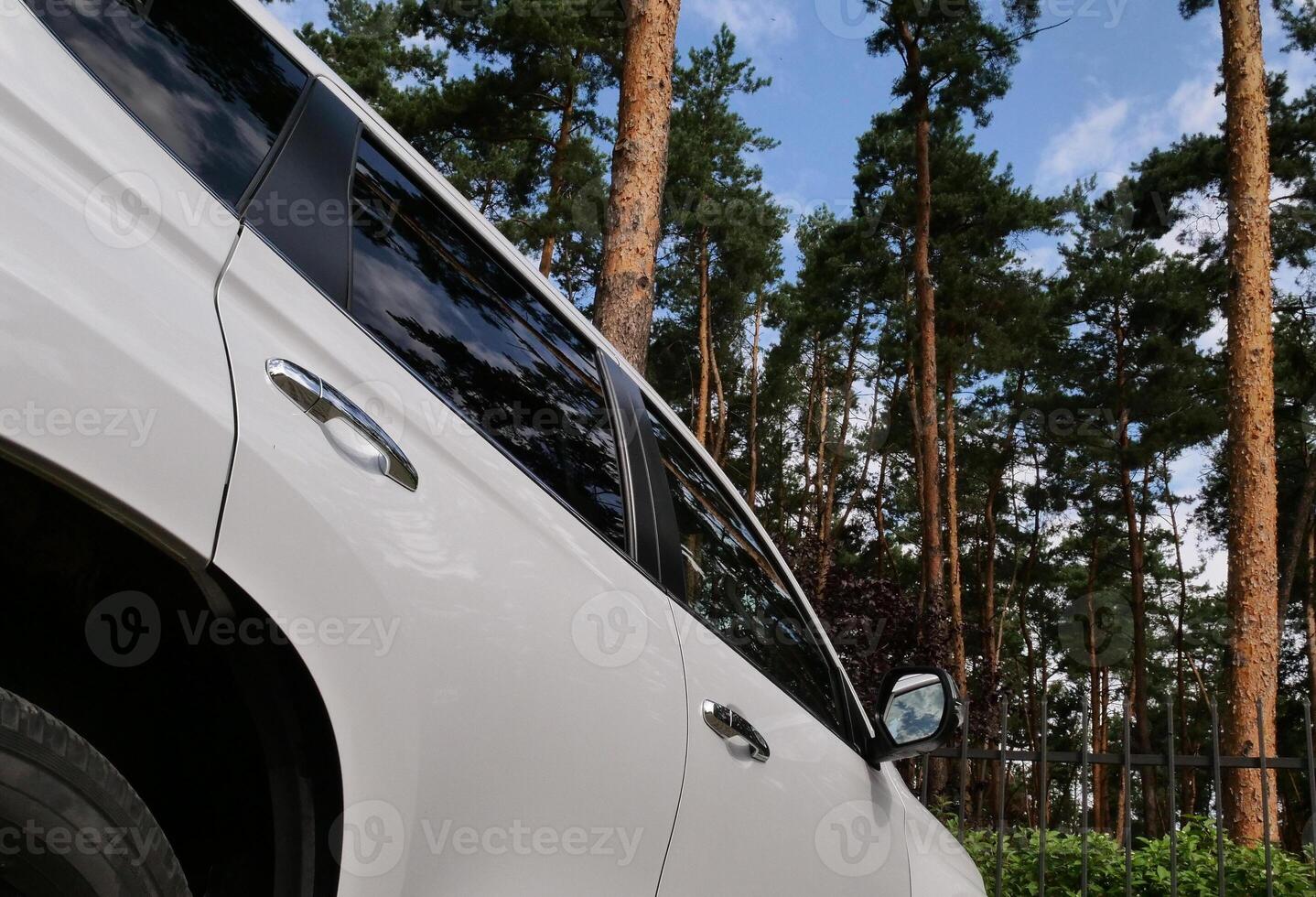 Bottom View Of Car Parked Near Fence Of City Park With Pine Trees photo