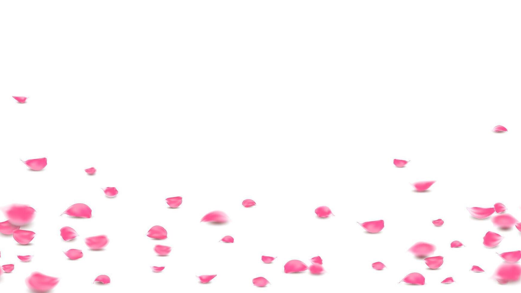 Pink rose petals fall on floor lovely background, Valentine symbolic flower of love vector