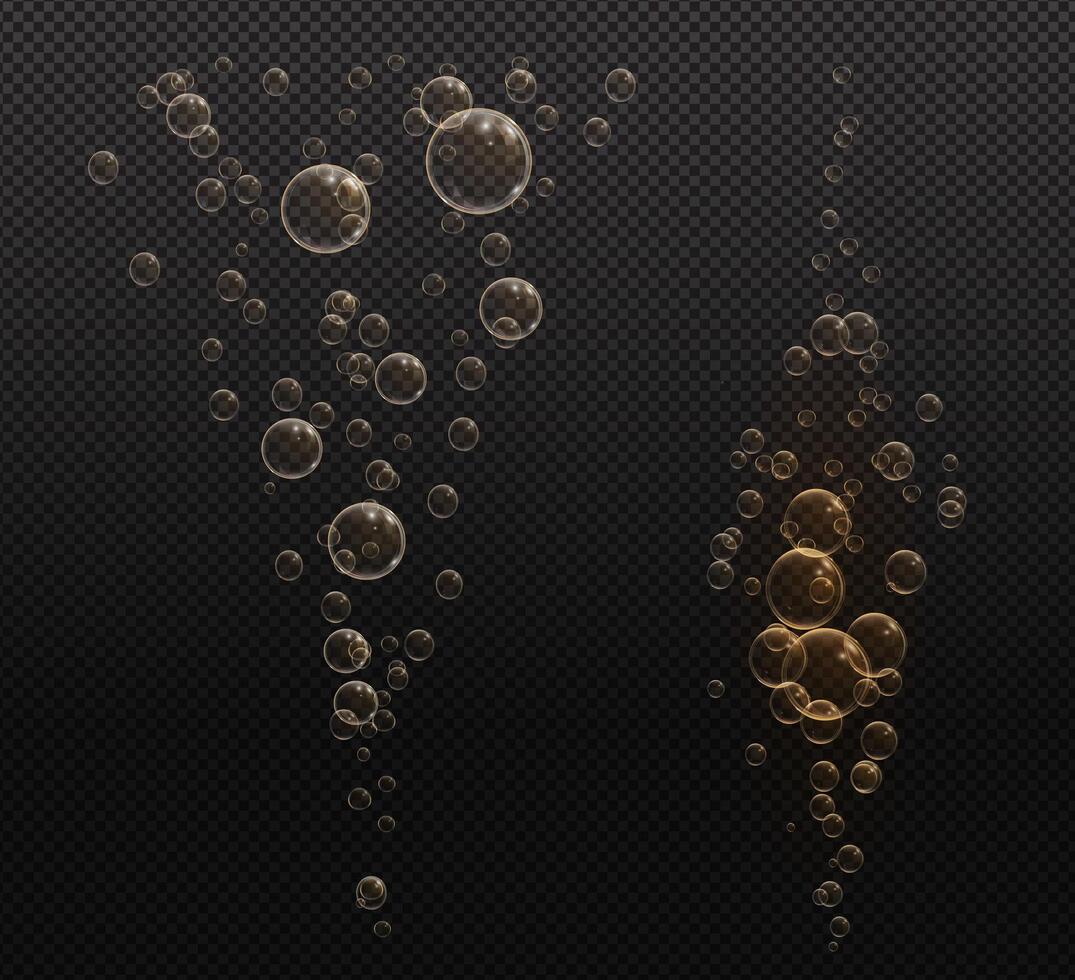 Shimmering Champagne Bubbles with Bright Highlights vector