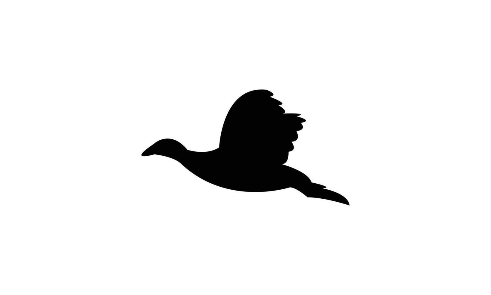 Flying American coot bird Silhouette Design And Illustration. vector
