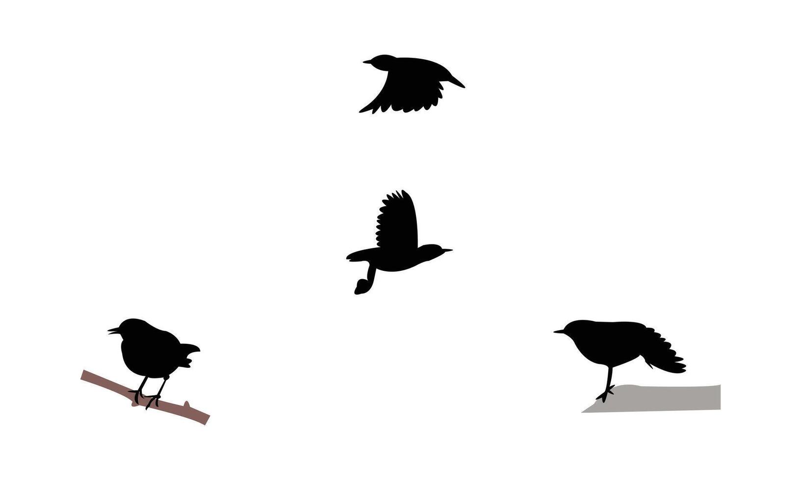 American dipper bird Silhouette Collection vector