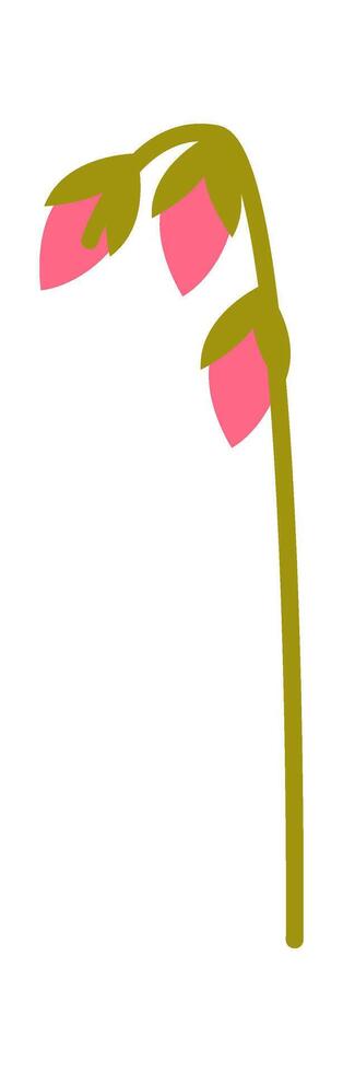 Beautiful summer flower flat icon Unopened bud vector