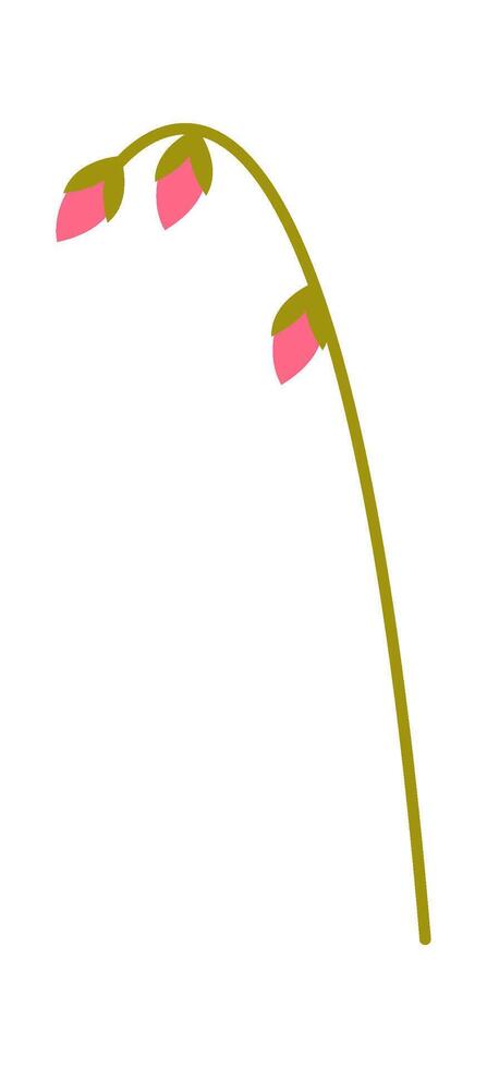 Beautiful summer flower flat icon Unopened pink bud vector