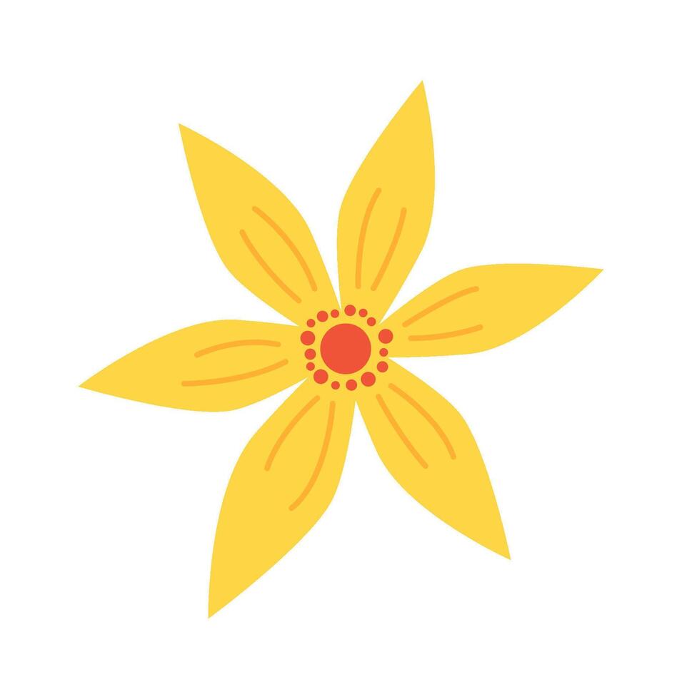 Single yellow summer flower Wild daffodil vector