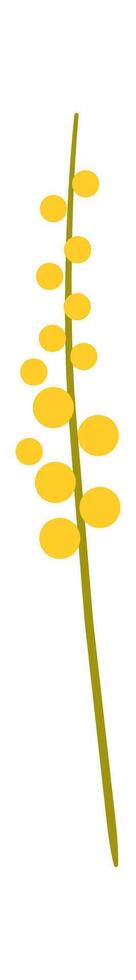Yellow wildflower flat icon Beautiful flowers vector