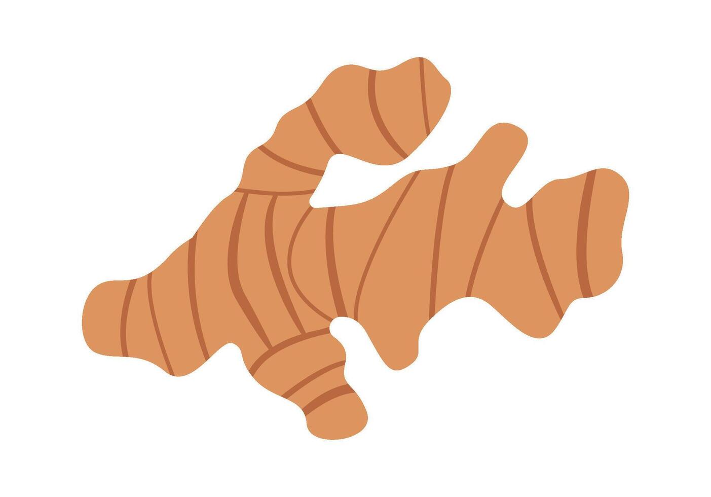 Ginger flat icon Spices ingredient for mulled wine vector