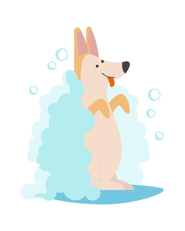Happy corgi flat icon Dog bathe Care and love vector