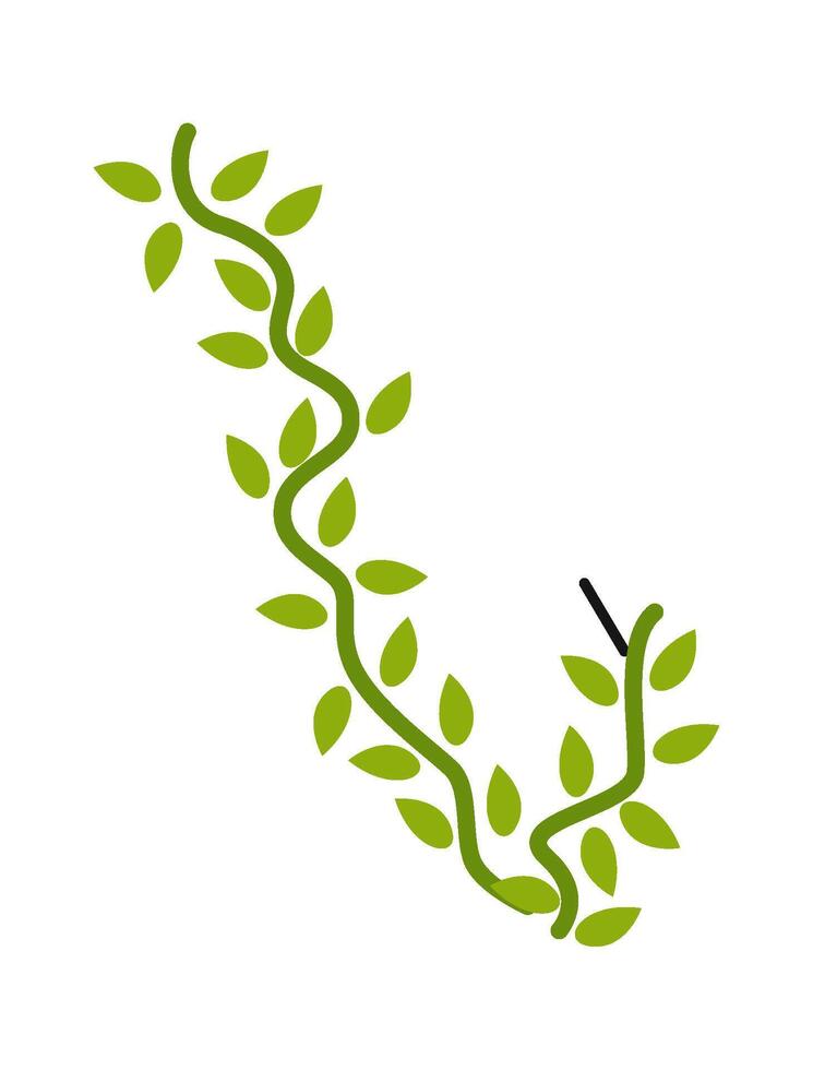 Liana flat icon Evergreen plant in jungle vector