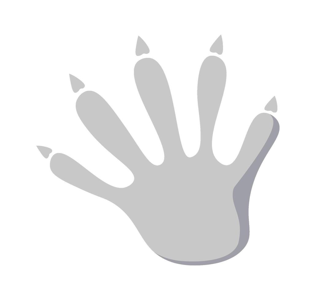 Wild animal footprint flat icon Raccoon steps vector