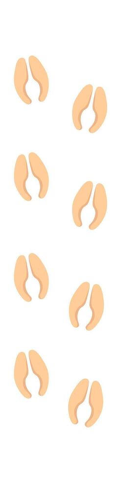 Wild deer footprint flat icon Wildlife steps Illustration vector