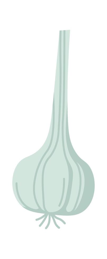 Garlic flat icon Ukrainian borscht ingredient Fragrant spices vector