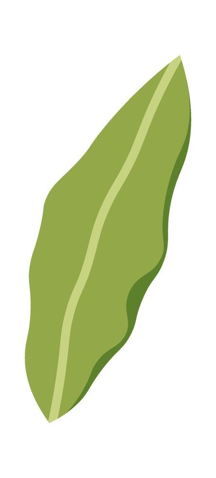 Bay leaf flat icon Spices for borscht vector