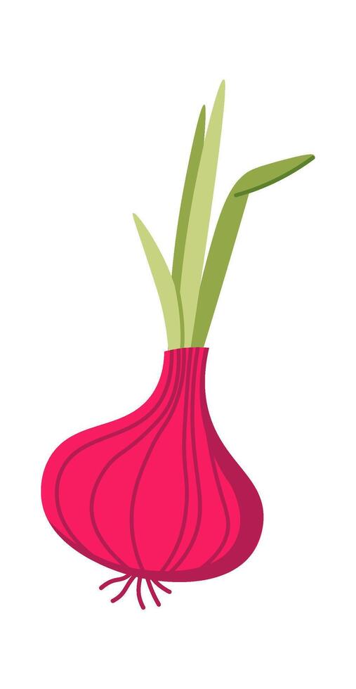 Onion flat icon Borscht preparation Soup ingredients vector