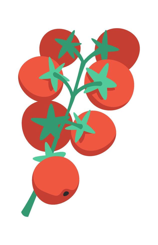 Fresh tomatoes flat icon Vegetable packaged food vector