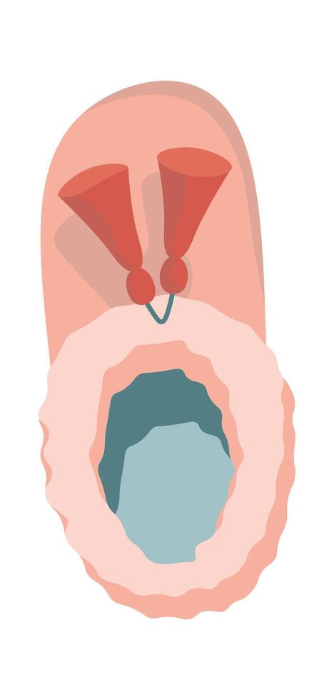 Pink soft home slippers flat icon Fluffy shoes vector