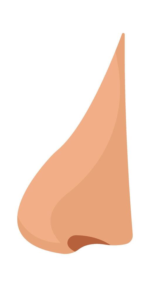 Nose flat icon Body part for piercing Illustration vector